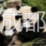 �ɶ�����