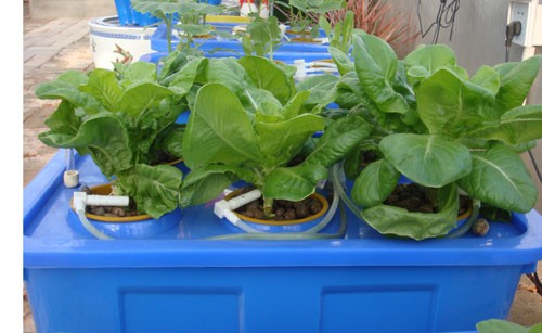 ����O�� �o������ ��_�ˈ@